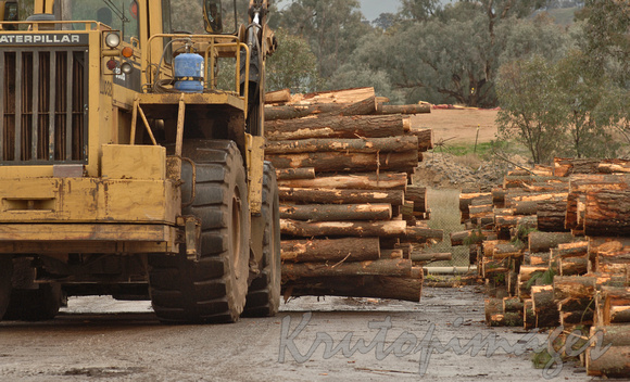 Timber Industry-stacking logs