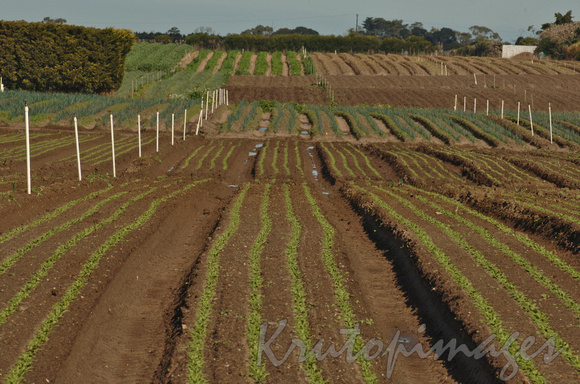 crop preparation south east Victoria