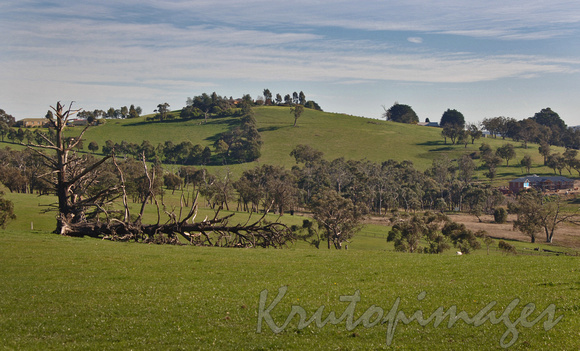 Langwarrin living-south east Victoria