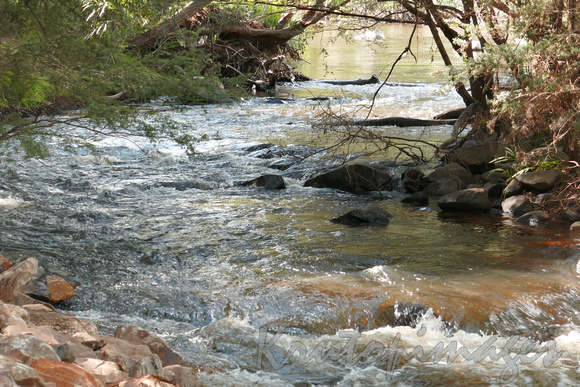 The Yarra River running through Warburton in the Upper Yarra Region Victoria