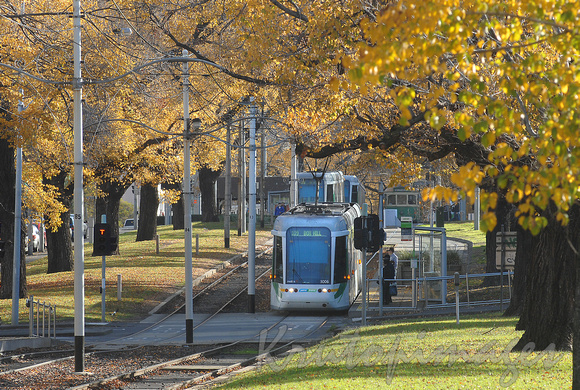 Tram in Melbourne at Autumn