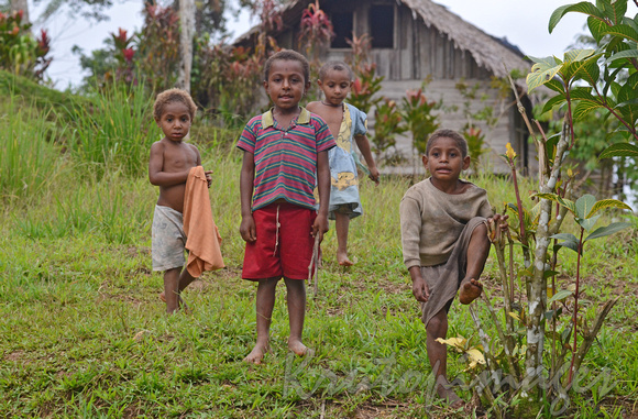 Village life Papua NewGuinea