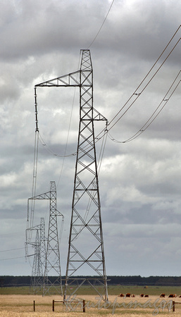 Transmission towers stretch across the Victorian countryside-vertical