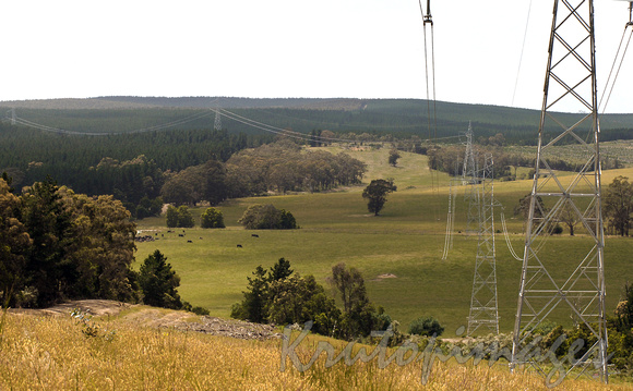 Transmission towers stretch across the Victorian countryside