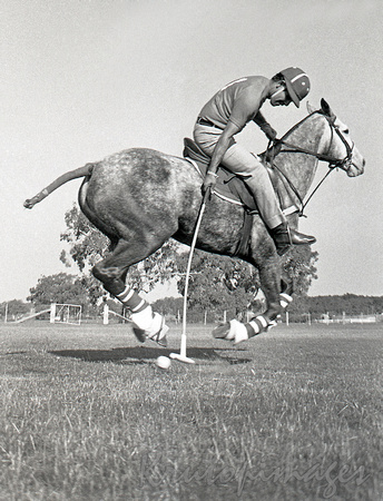 Indian polo player at practice -Werribee