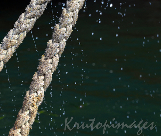 waterfront wet ropes