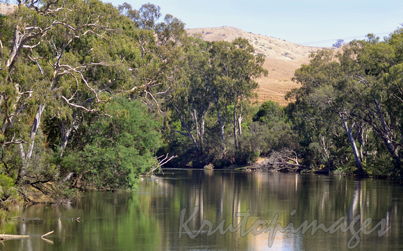 River scene- Western Victorian