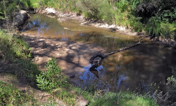 creek in Victoria Cardinia area