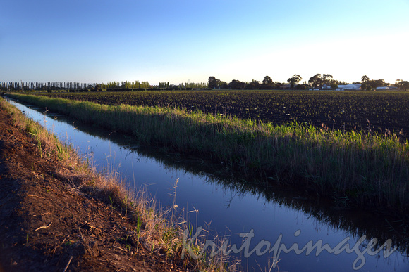 Irrigation-Drain systems South Gippsland Dalmore at sunrise