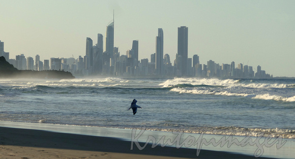 Surfers Paradise skyline across the water from Palm Beach
