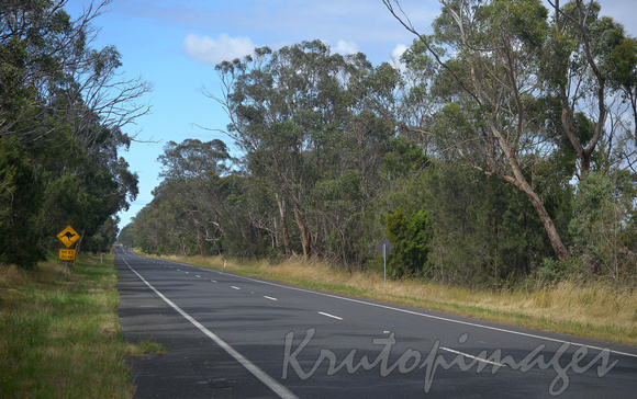Australian highway -main route south eastern Victoria