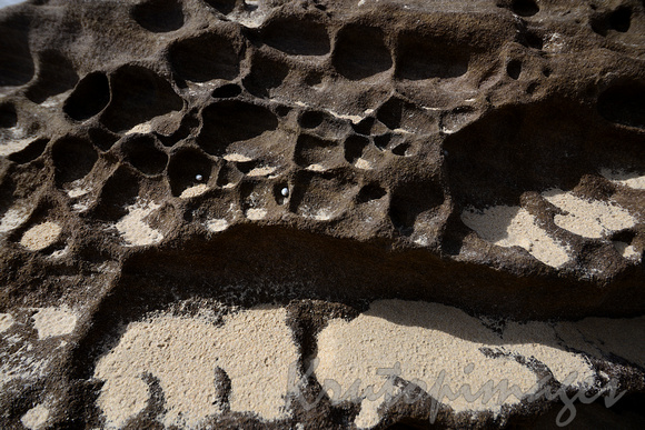 detail of the weather formed rocks on coast sand and deep pockets created by weather over years