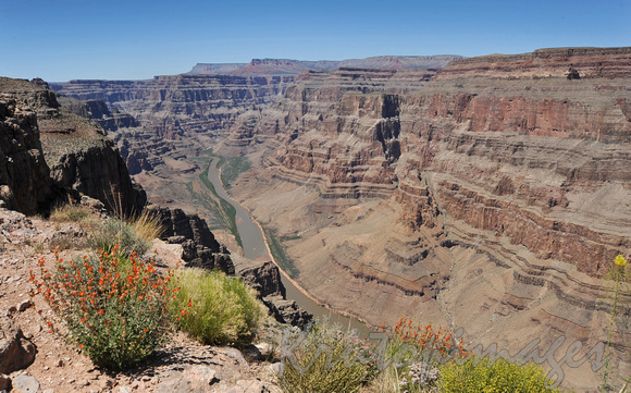 Grand Canyon Arizona showing the Rio Grande