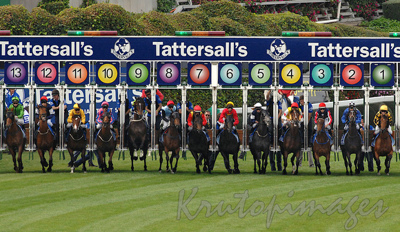 CoxPlate2007out of the starting gates